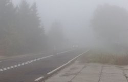 Samochód jadący we mgle