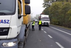 dzielnicowy z inspektorem transportu drogowego kontrolują pojazdy w SKulsku
