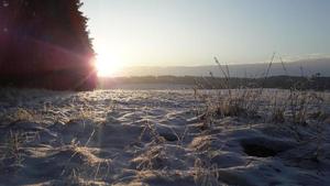 Zdjęcie zimowego krajobrazu